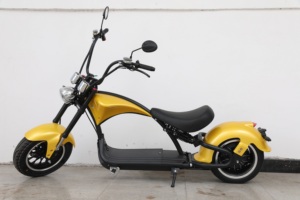 มอเตอร์ไฟฟ้าสกู๊ตเตอร์ผู้ใหญ่,1000 Watt 2000W Racing <span class=keywords><strong>Sealup</strong></span> Blade จักรยานสามล้อสำหรับตีกอล์ฟกับ Eec - Product Image 3
