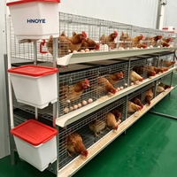 Cage à poulets de chair en forme de H à plusieurs niveaux, gain de place pour les exploitations avicoles à grande échelle