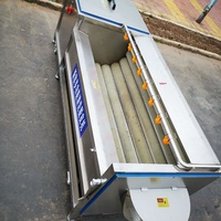 Machine à laver à éplucher le gingembre haute efficacité Racine Légumes Fruits Gingembre Machine de nettoyage de pommes de terre