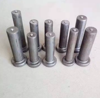 Steel Structure Stud Bolts Wholesale Cylindrical Head Ceramic-Covered Anti-Shear Welding Studs GBT 10432.1-2010 Standard