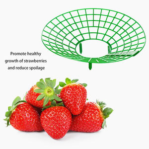Haute qualité plante légumes Support cadre fraise plante Support support jardinage extérieur fraise plante Support - Product Image 3