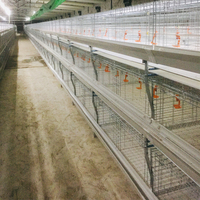 Cage pour poulets de chair de type H Cage pour poulets de chair à 4 niveaux entièrement automatique à 3 niveaux avec système de nettoyage des déchets