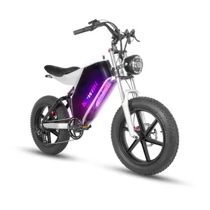 Электродвигатель с большой толстой шиной, горная Толстая шина, грязь, 2024, элементы для электрического велосипеда, литиевая батарея для велосипеда