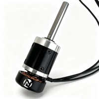 Boîte de vitesses CC miniature personnalisée PGM2004 12V à couple élevé 11,3 kgf.cm, arbre de 6 mm, avec moteur brushless 2004 pour composants robotiques
