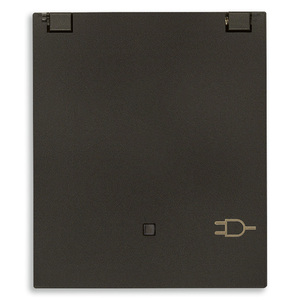 Interruttore a Muro Sicury 2P+T 16A in Rame Nero 5.6x4.7x5 Cm - Product Image 1
