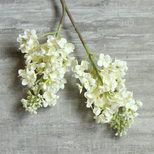 Vendita calda <span class=keywords><strong>fiori</strong></span> di nozze vero tocco <span class=keywords><strong>viola</strong></span> <span class=keywords><strong>fiori</strong></span> <span class=keywords><strong>lilla</strong></span> stampa 3d in lattice <span class=keywords><strong>fiori</strong></span> artificiali <span class=keywords><strong>lilla</strong></span> Bouquet decorazione di nozze - Product Image 6