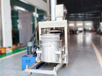 China Best Verkopende Cassave Zetmeel Gember Fruit Groentesap Druivenwijn Hydraulische Persmachine