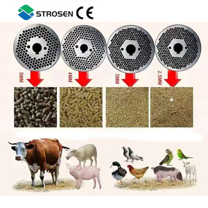 Máy làm viên thức ăn Strosen giảm giá, giá xuất xưởng, dùng cho cá Tilapia, cám lúa mì, gỗ, máy làm viên thức ăn với đĩa nghiền 4.0mm - Product Image 4