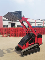 Euro 5/ CE /EPA Chine Fabricant Petite mini chargeuse compacte 380KG 1300KG Mini chargeuses antidérapantes 1 tonne Livraison rapide
