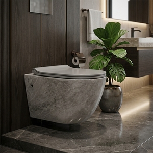 โถสุขภัณฑ์แบบแขวนผนังสีเงิน โถสุขภัณฑ์เซรามิกสีทองแบบแขวนผนัง - Product Image 3