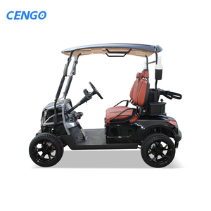 Voiturette de golf personnalisable 2 places 48V homologuée pour la route à vendre – Voiturette de golf 2 places à essence - Product Image 5