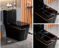 Ensemble de toilettes et de lavabo sur pied en céramique moderne de luxe, couleur noire, allongé, avec chasse d'eau à double fonction