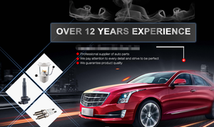 משאבת דלק בלחץ גבוה Wlgrt 3520-2g720 מצב חדש עבור היונדאי yf sonata ולכלי רכב sorento 2.4l - Product Image 6