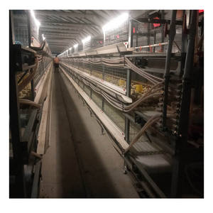 Jaula para transporte de pollos, jaula para transporte de pollos, 3x3 - Product Image 4