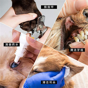 Kit de aseo para mascotas, para cortar uñas de perros, limpieza de dientes, cuidado de los oídos, gotas para los ojos, cuidado del pelaje, juego de herramientas de plástico - Product Image 1