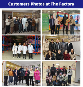 Vitboo Aliment Aquatique pour Tilapia 4% Prémélange pour Poisson Aliment pour Silure pour la Croissance Aliment OEM Complément Nutritionnel pour Poissons - Product Image 5