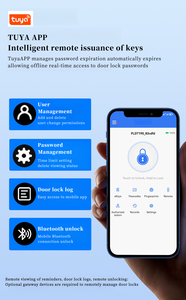 图雅球形家用木门指纹密码锁分体式黑色门把手内门门把手 - Product Image 4