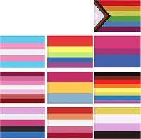 Drapeau de voiture arc-en-ciel de 12 x 18 pouces, nouveau, vente en gros, pour la fierté LGBTQ+, bannière gay asexual