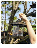 Lot de mangeoires à oiseaux en plastique pour l'extérieur, suspendues, résistantes à la pluie et aux écureuils, mangeoire à graines pour cailles, verte