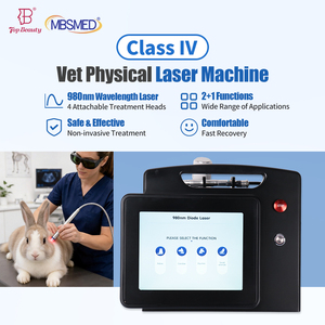 Láser de Grado Médico de 30W 980nm Clase 4 para Fisioterapia Veterinaria y Tratamiento de Curación de Heridas en Animales - Product Image 1