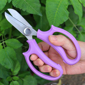 Ciseaux de jardinage en acier inoxydable à bord lisse, qualité DIY, avec poignée en PP, ciseaux laser pour greffage de plantes et élagage de fleurs - Product Image 2