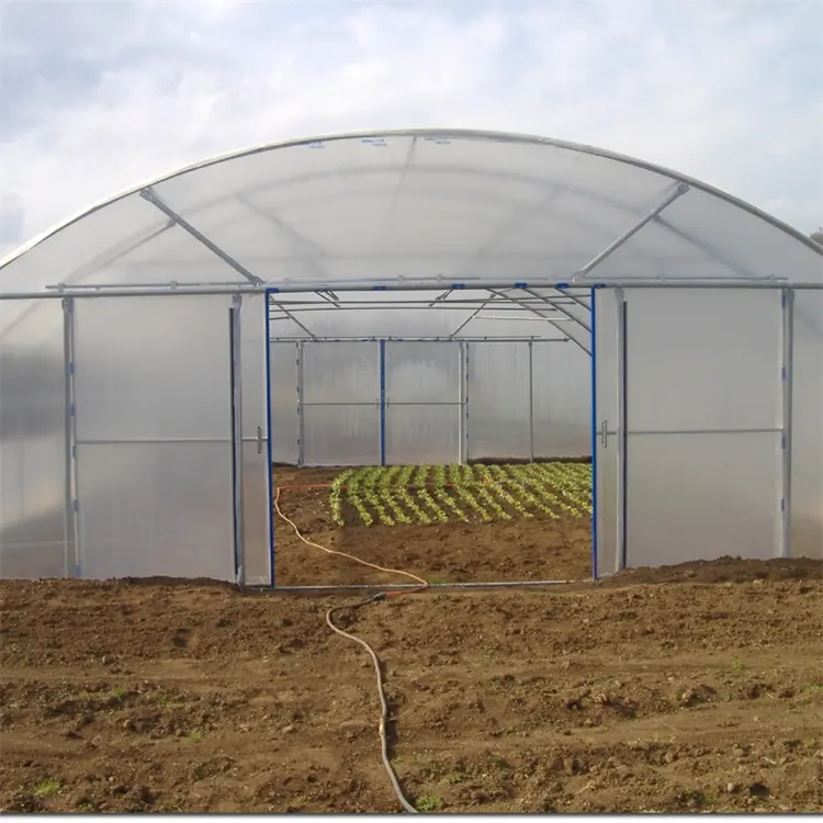 Low Cost Tunnel Greenhouse Galvanized Steel Frame Single Span Pe Film Greenhouse For Agriculture Flowers Plant