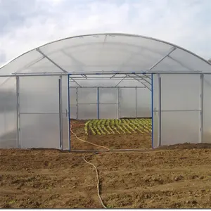 Serre Tunnel à faible coût cadre en acier galvanisé serre à film Pe à travée unique pour plantes de fleurs agricoles