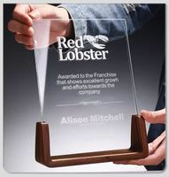 Trophées, médailles et plaques en verre transparent simples, plaque de récompense en cristal avec base en bois