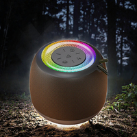 Mini Enceinte Stéréo Portable Sans Fil avec Éclairage LED RGB, Microphone Intégré et Fonction Téléphone pour Utilisation Extérieure