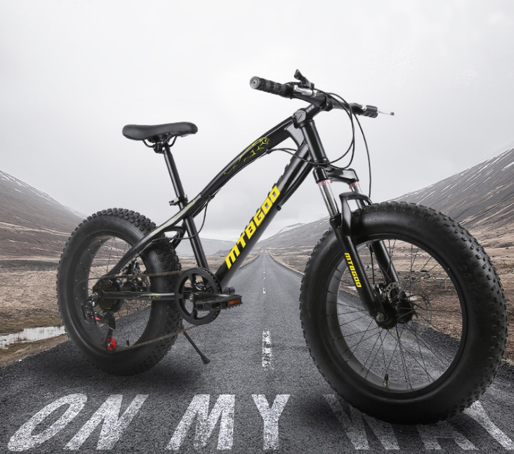 Cheap Price 26 Inch 21 Speed