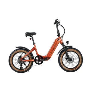 Vélo électrique pour femmes 20 pouces 48V 500w High Speed Powerful Ebike Fat Tire Mountain Electric Bike