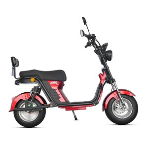 Scooter rétro à pneus larges, double siège avec dossier arrière, grande roue, pour les loisirs et les trajets quotidiens, moto électrique - Product Image 4
