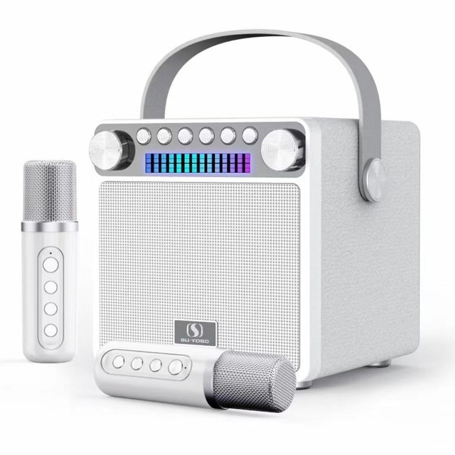 New Design Vintage Dual Wireless Microphone Speaker Portable Outdoor Use Speaker