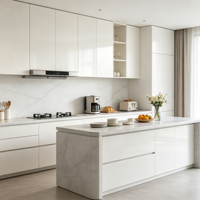 Meubles de cuisine modulaires modernes de luxe sur mesure HNSJ, construction en contreplaqué, ensemble pour appartement avec portes en contreplaqué et îlot de cuisine