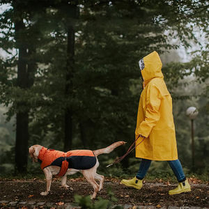 Оптовая продажа, ветрозащитная одежда для домашних животных, водонепроницаемая зимняя Большая куртка для собак с северным лицом, пальто для собак - Product Image 6