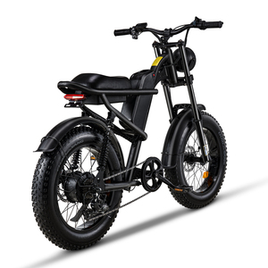 Vélo électrique de 20 pouces à moteur 250W, V8 d'origine, vélo tout-terrain à 7 vitesses, à gros pneus, de 48V et 15Ah, entrepôt européen - Product Image 3
