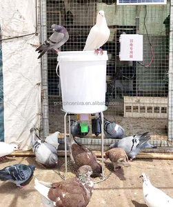 Từ xa hẹn giờ tự động động vật trung chuyển cổng Gia cầm nuôi máng ăn cho gà, vịt, ngỗng, rùa, chim bồ câu - Product Image 6