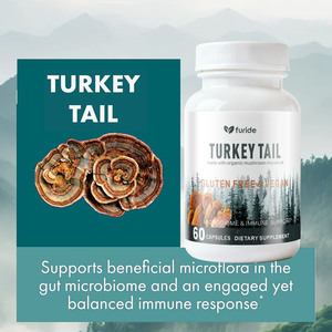 Capsule di Fungo Coda di Tacchino Integratore Alimentare Estratto in Polvere Superfood per Supportare la Salute del Cervello per Adulti - Product Image 2