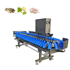 Automation Weight Sorting Machine Food Sorting Machine Easy to Operate Fruits fo Beans Eggs Vegetables Seafood Grading Machine