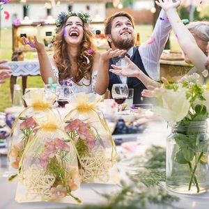 Gói dây rút túi trong suốt Organza Túi Mini kẹo Quà Tặng túi đồ trang sức bên vv. Sản xuất tại Trung Quốc mô hình QJ-DB-045 - Product Image 2