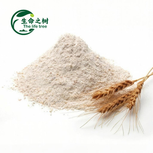 Chất Lượng Cao 25Kg Số Lượng Lớn Bao Bì Toàn Bộ Lúa Mì Bột Lúa Mì Tinh Bột Chất Làm Đặc Cho Xuất Khẩu - Product Image 3