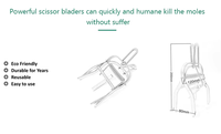 Piège à animaux robuste - Cage anti-taupe et anti-gopher en acier galvanisé, solution de lutte humaine contre les nuisibles pour pelouse et jardin extérieurs