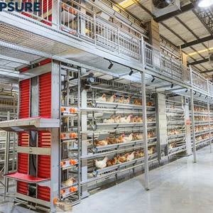 <span class=keywords><strong>Jaulas</strong></span> para <span class=keywords><strong>Gallinas</strong></span> Ponedoras <span class=keywords><strong>de</strong></span> Grado Industrial, <span class=keywords><strong>de</strong></span> Funcionamiento Suave, para Granjas, <span class=keywords><strong>Jaulas</strong></span> Comerciales para Granjas Avícolas, <span class=keywords><strong>Jaulas</strong></span> para <span class=keywords><strong>Gallinas</strong></span> <span class=keywords><strong>de</strong></span> <span class=keywords><strong>Segunda</strong></span> <span class=keywords><strong>Mano</strong></span> - Product Image 1