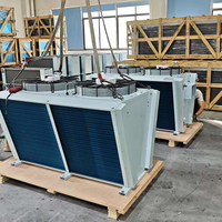 Condenseur à air refroidi de type V AkUS 66,5 kW à ailettes bleues pour le refroidissement industriel côtier, conforme à la conformité GWP 2026