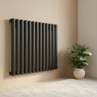 Radiateur de salle de bain en acier moderne pour des solutions de conception efficaces
