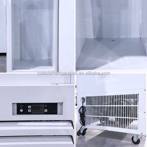 Indoor Fan Cooling Solid Door Commercial Ice Merchandiser <b>Freezer</b> with Digital Control Single-Temperature Bagged Ice Storage Bin - Product Image 6