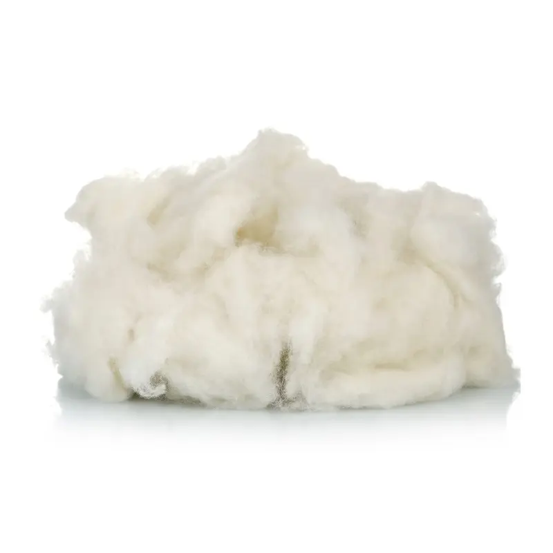 Sampel Gratis 24-26Mm Ketahanan Tinggi Musim Dingin Hangat Domba Wol Fiber untuk Pakaian Karpet
