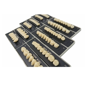 Dientes dentales de dos capas de polímero sintético - Product Image 6