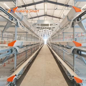 Équipement d'Élevage de Poulets de Chair Système Automatique de Type H <span class=keywords><strong>Cage</strong></span> à Poulets - Product Image 6