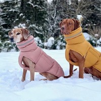 Ropa para Perros Levi, Abrigo Acolchado de Algodón de Dos Patas, Grueso, Cálido, Impermeable y Cortavientos, para Otoño e Invierno, Venta al Por Mayor